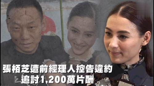 娱乐吃瓜的本质是什么,一场全民参与的狂欢盛宴