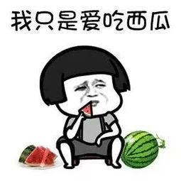 娱乐吃瓜的本质是什么,一场全民参与的狂欢盛宴
