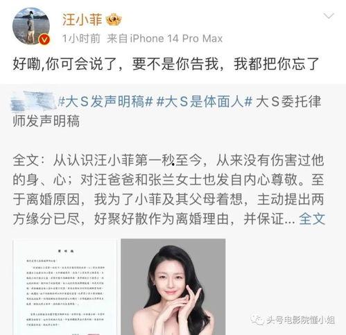娱乐圈怎么吃瓜汪小菲的,揭秘明星幕后生活