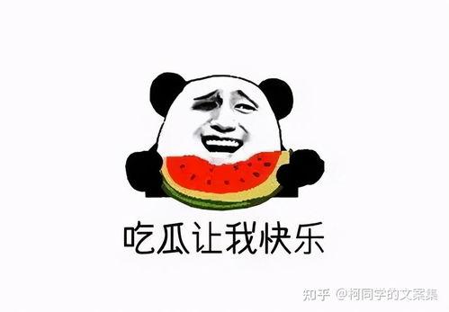 娱乐吃瓜文案搞笑