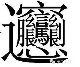 娱乐吃瓜君四字小花