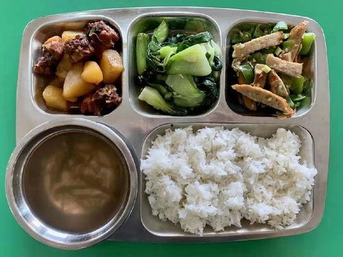 娱乐吃瓜酱学不进去了,学不进去了，揭秘学习困境背后的娱乐诱惑